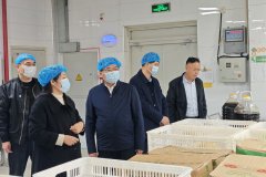 国度级滕州经济手